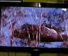 Philips TV 32 Zoll 32PFL5403